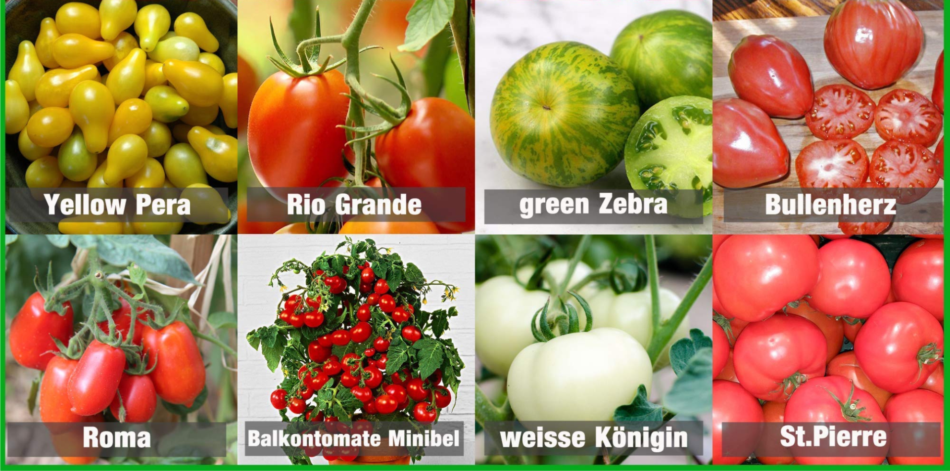 семян томатов и овощей