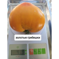 Золотые гребешки